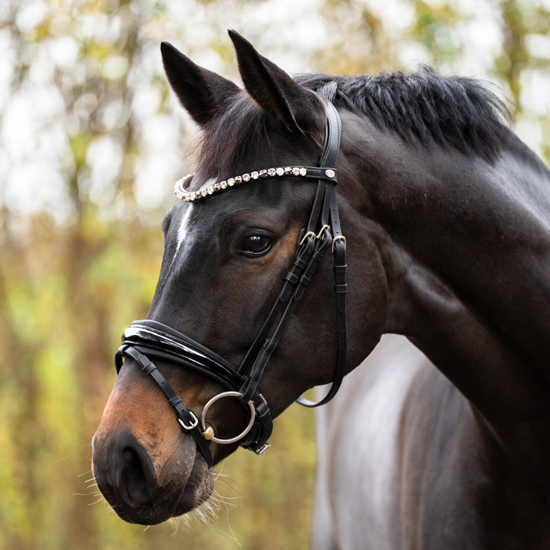 Hoofdstellen en hun werking bij Puur Paardenkracht Ruitersport
