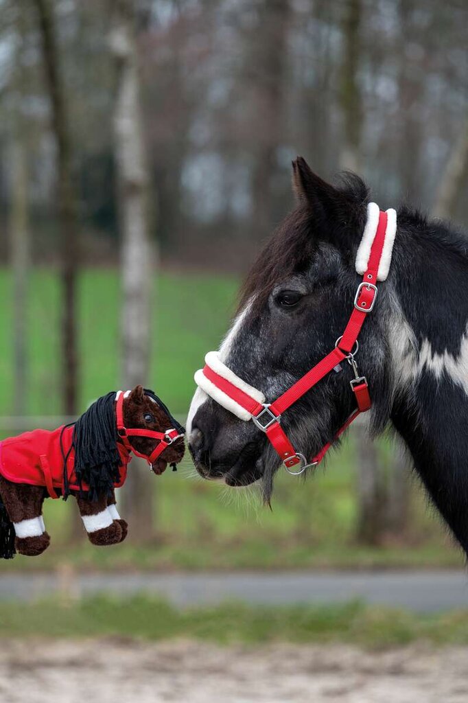 Cuddle pony startset