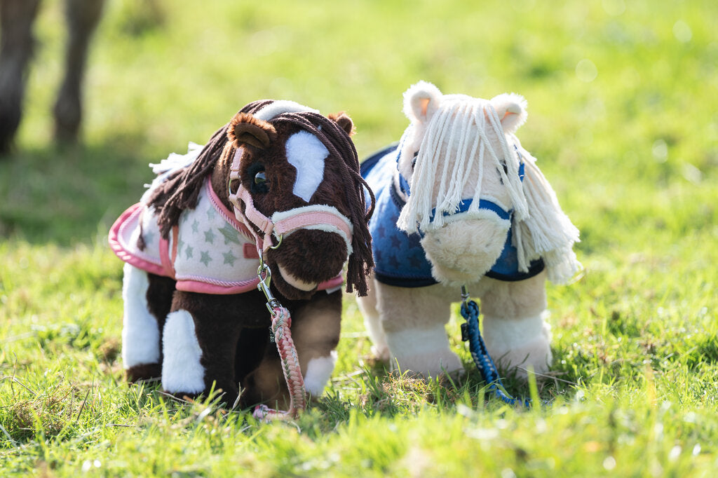 Cuddle pony sterrenset roze of blauw
