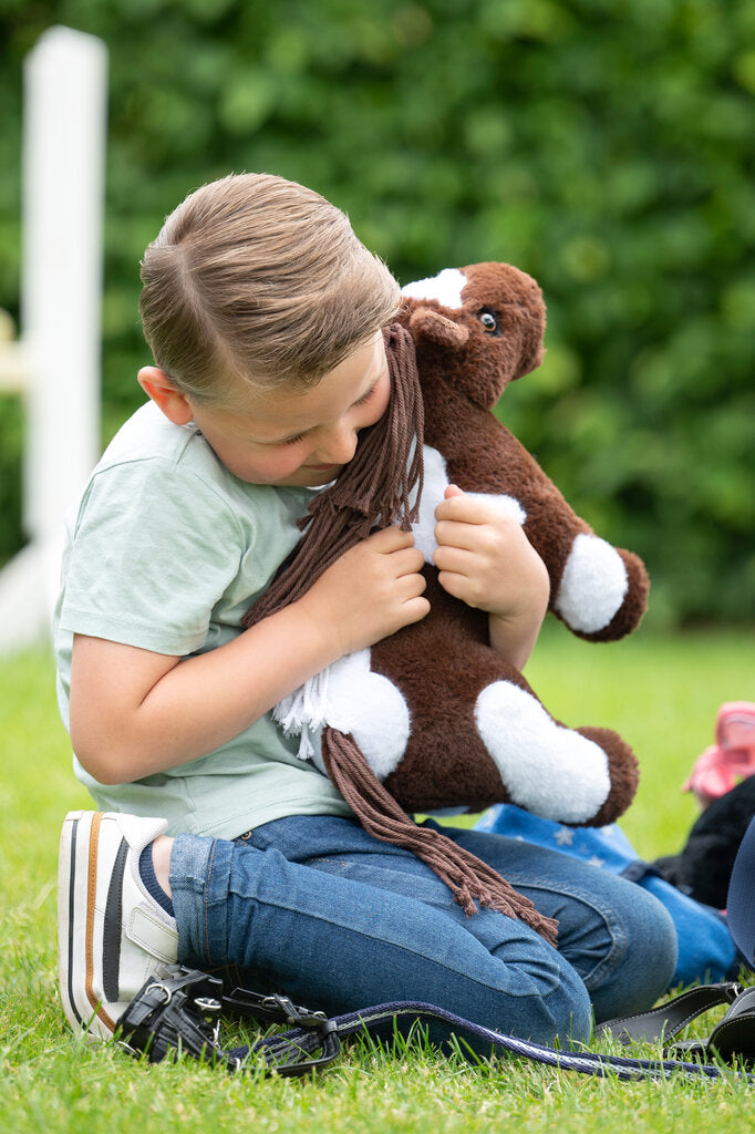 Cuddle pony pinto
