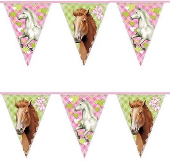 Vlaggenlijn paarden 6 meter