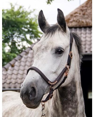 anatomisch halster leer