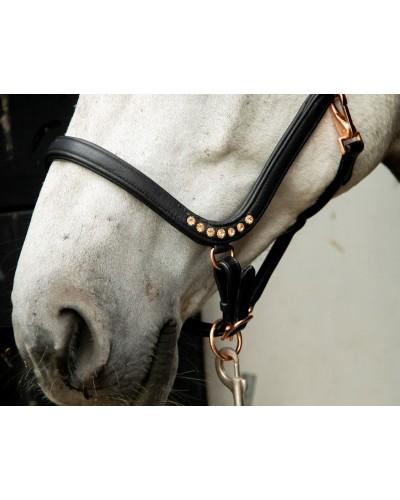 Anatomisch, leren halster zwart