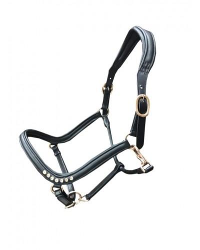 anatomisch halster leer