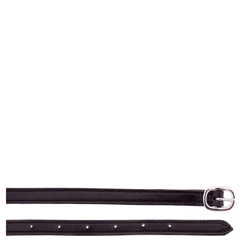 BR lederen spooorriem