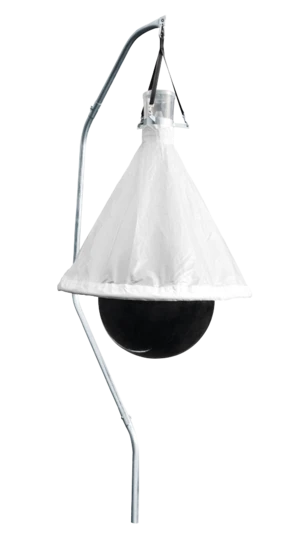 Dazenval TaonX, compleet