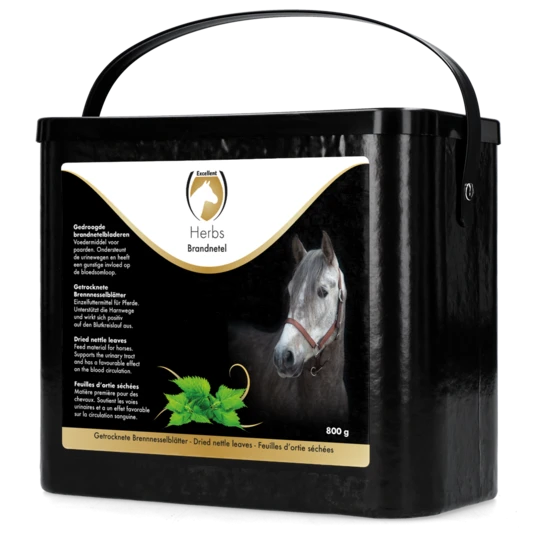 Excellent herbs brandnetel