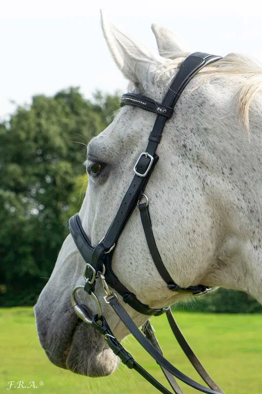 F.R.A. Runa combinatie hoofdstel