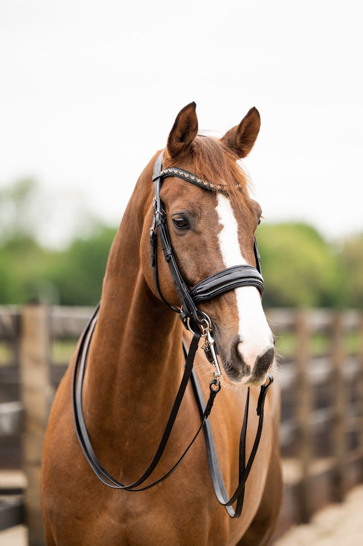 HB Showtime anatomisch stang en trens