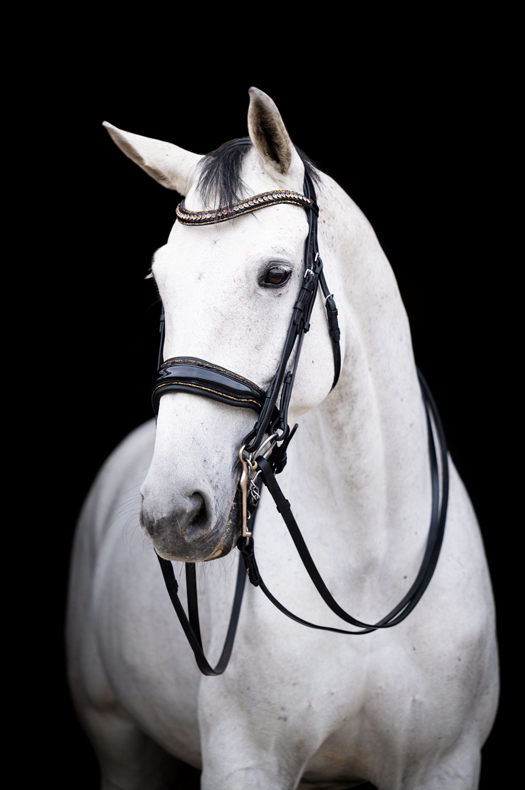 HB Showtime anatomisch stang en trens