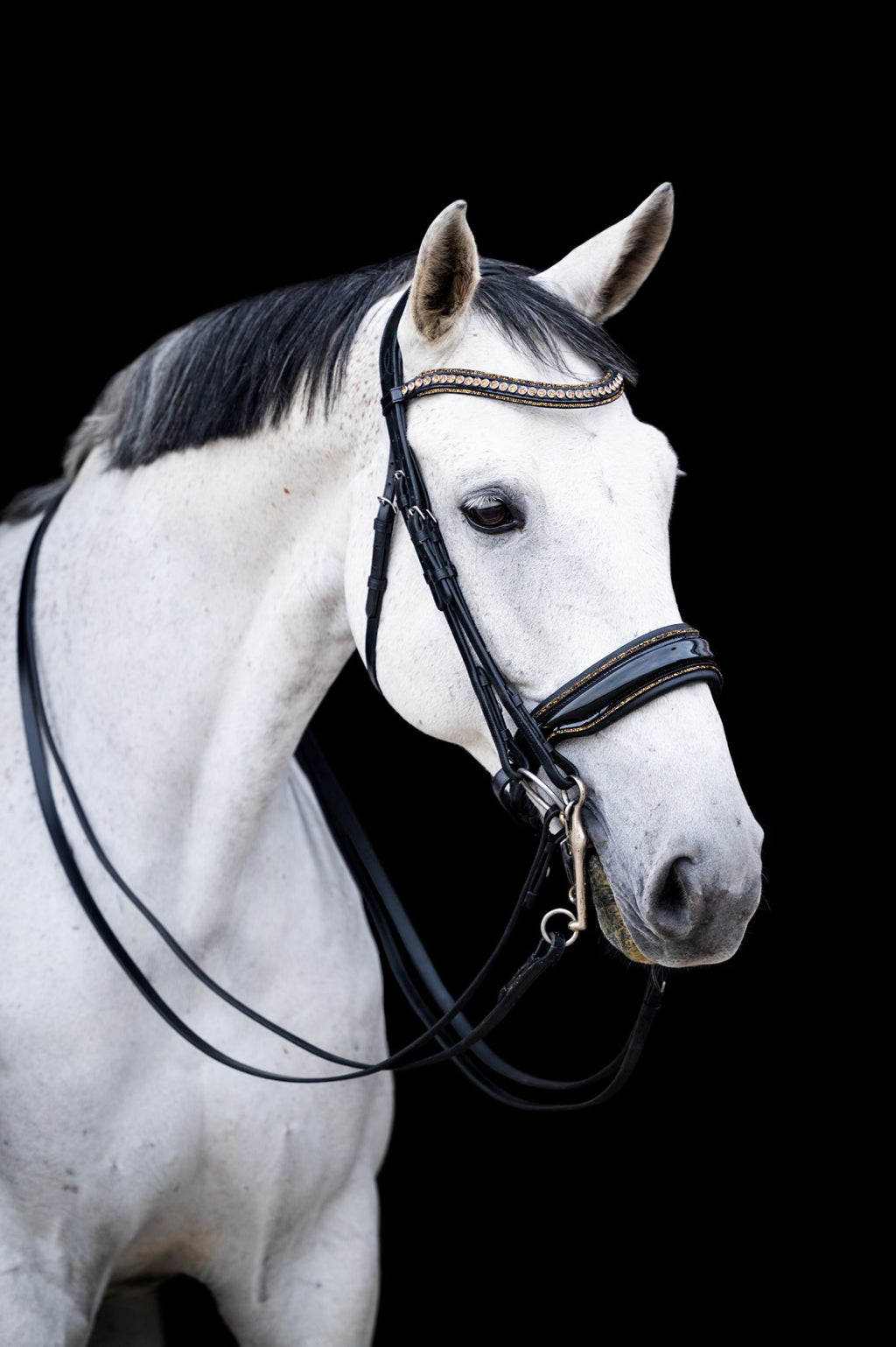 HB Showtime anatomisch stang en trens