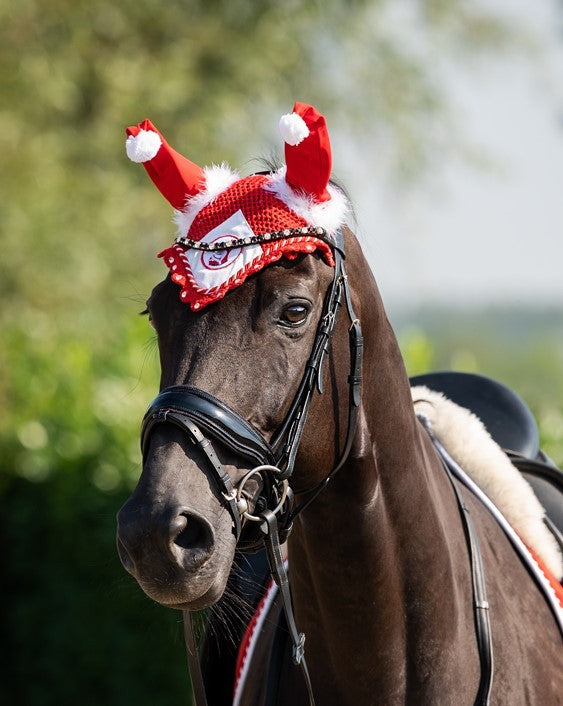 HB oornetje Xmas