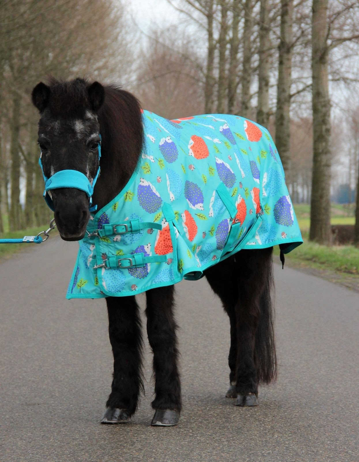 HB regendeken pony gevoerd