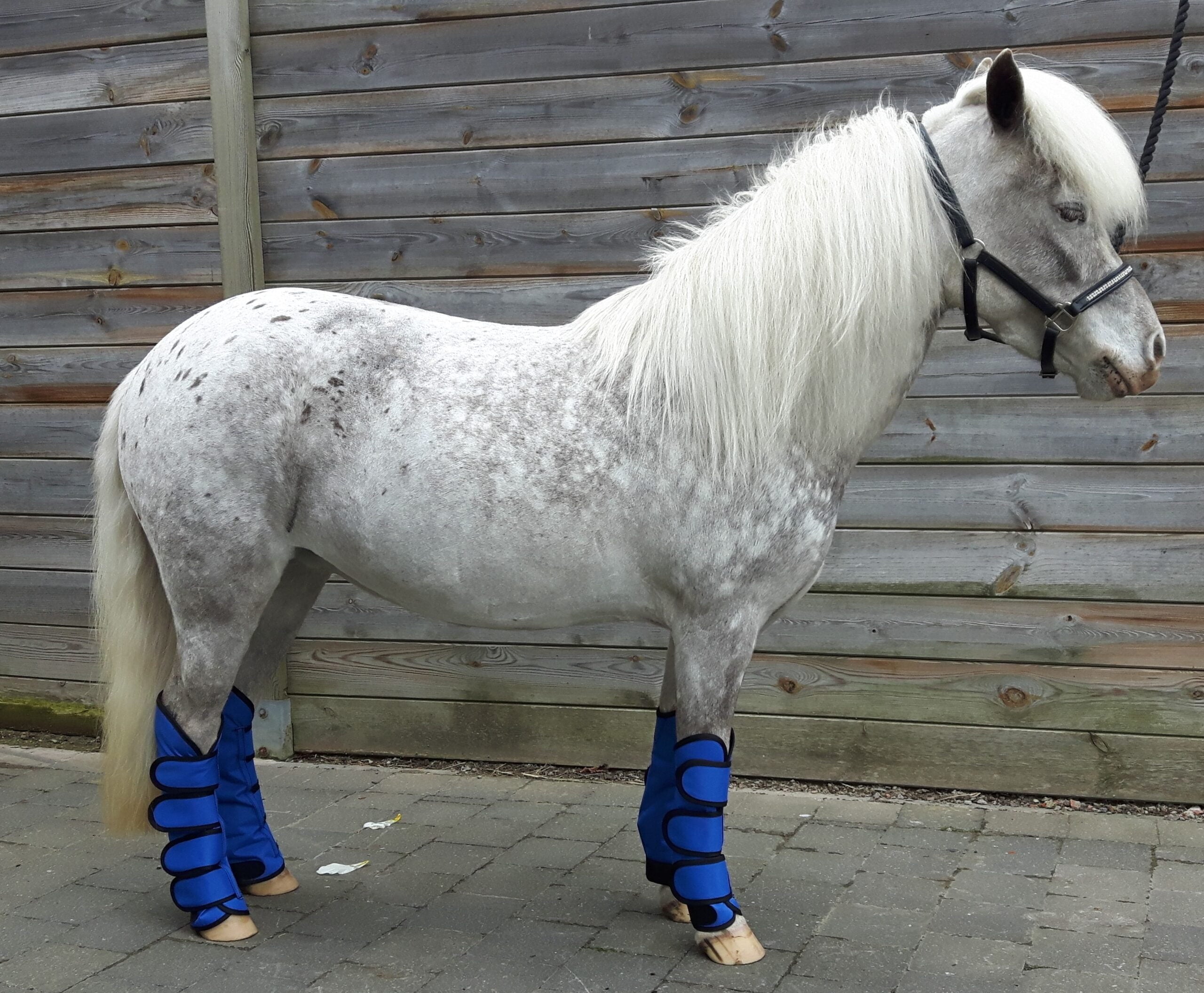 HB transportbeschermers little