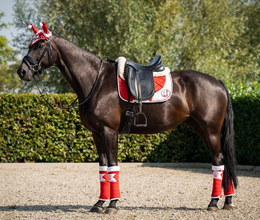 HB zadeldek xmas dressuur