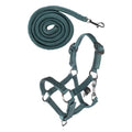 HKM Hobby Horse verstelbare halsterset turquoise