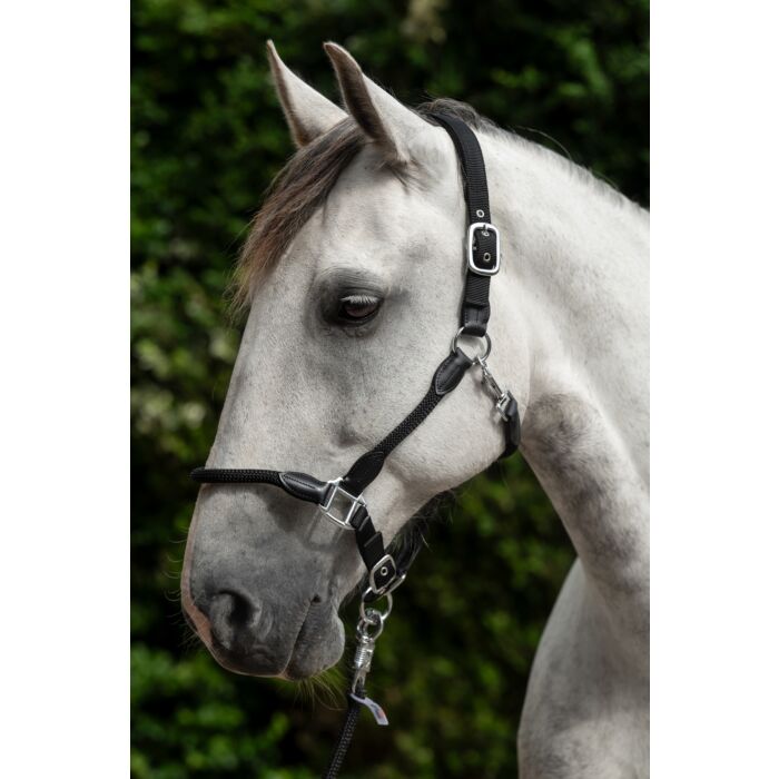 HKM halster Carlotta