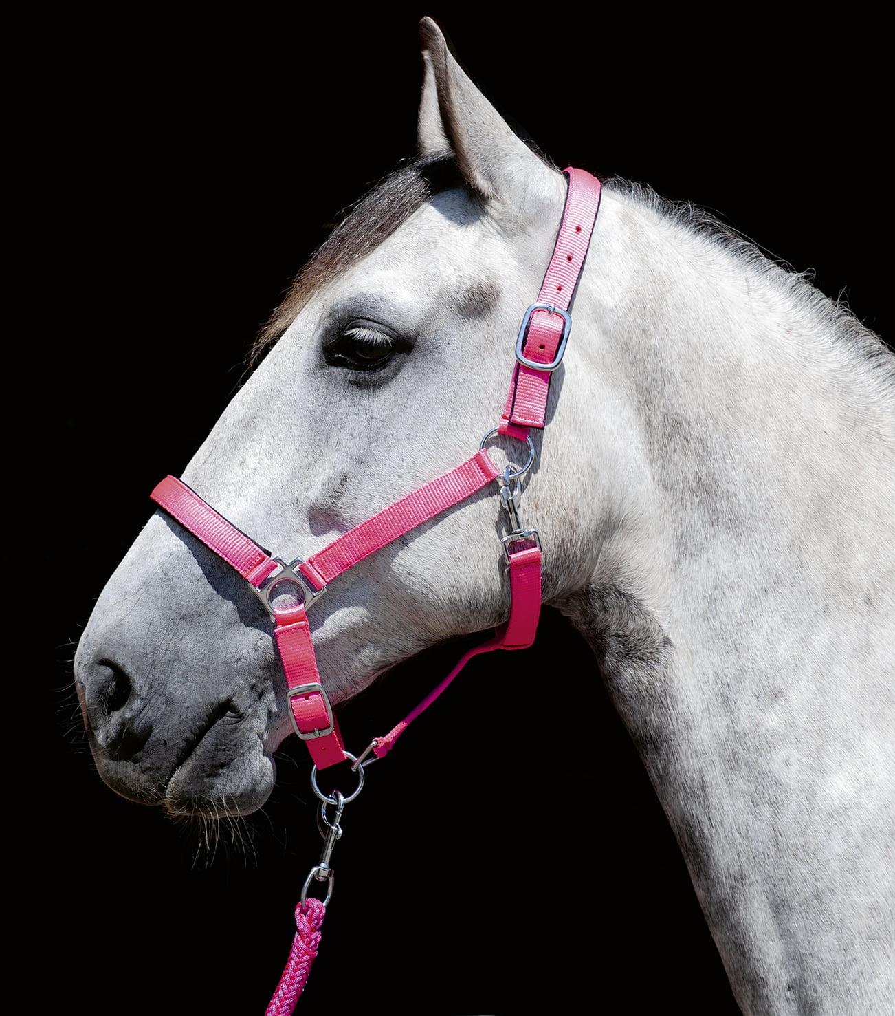 HKM halster neon