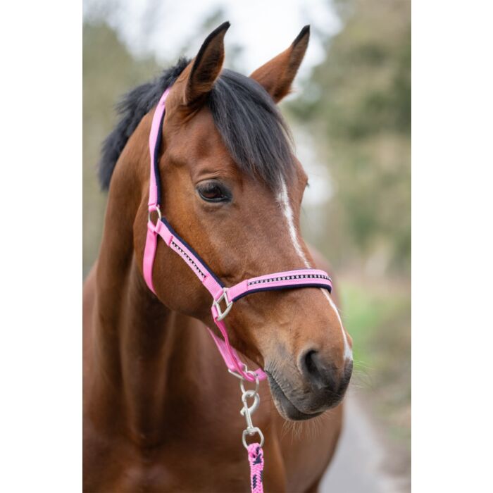 HKM halsterset roze en blauw met steentjes