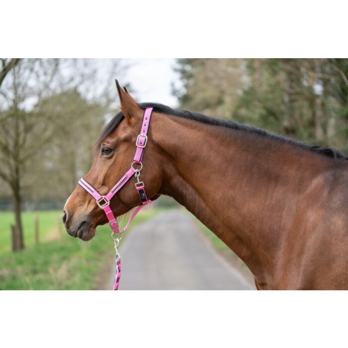 HKM halsterset roze en blauw met steentjes