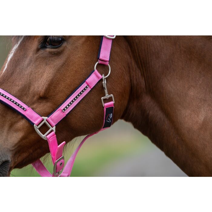 HKM halsterset roze en blauw met steentjes