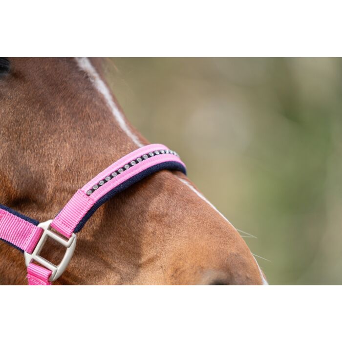 HKM halsterset roze en blauw met steentjes