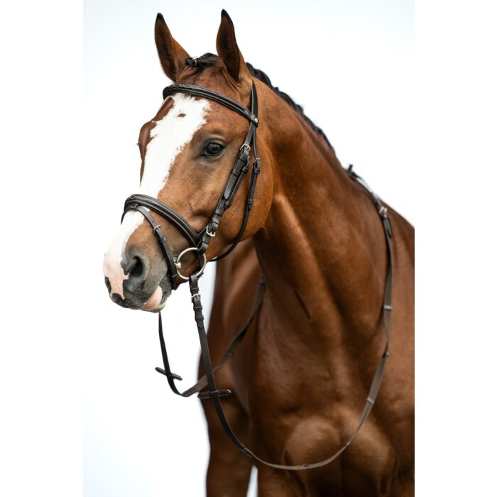 HKM hoofdstel Jana bruin