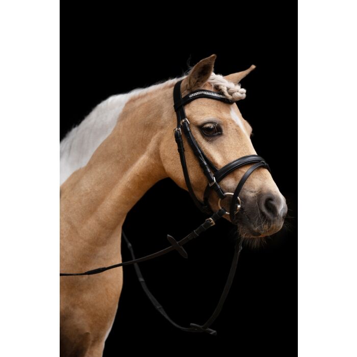 HKM hoofdstel Little Star