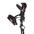 HKM Hobby Horse hoofdstel Manchester roze