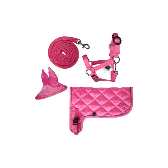 HKM set Hobby Horse neon pink