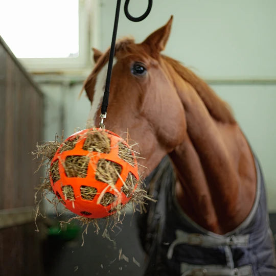 hay-slowfeeder
