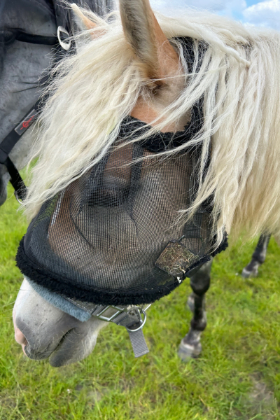 Horka anti vliegenmasker UV-bescherming