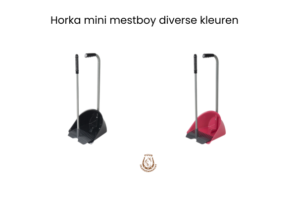 Horka mini mestboy diverse kleuren