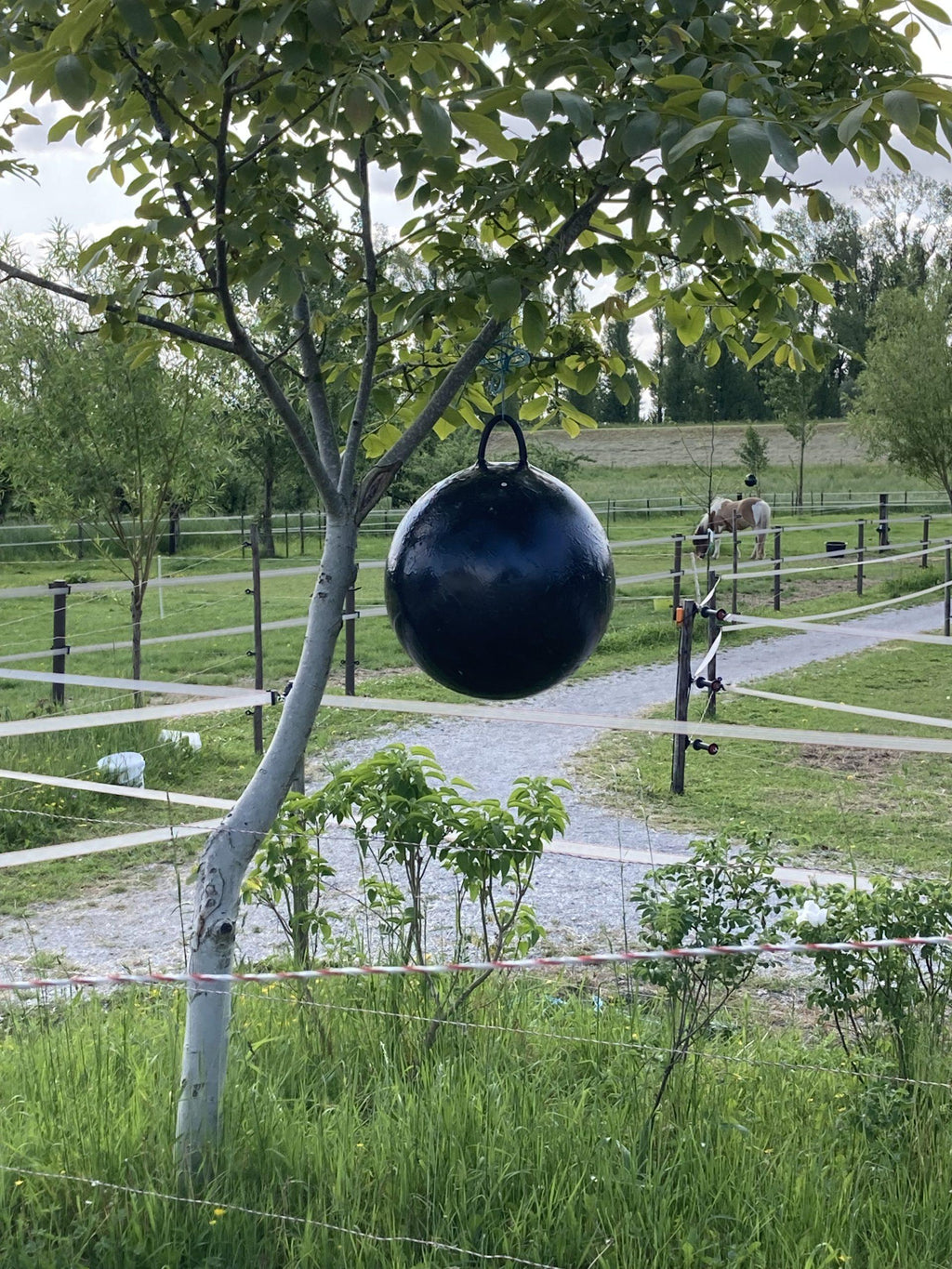 Sticky Trap vliegenbal