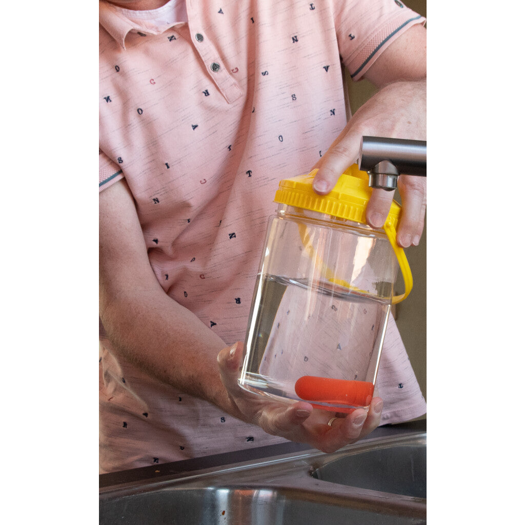 Knock Pest vliegenval