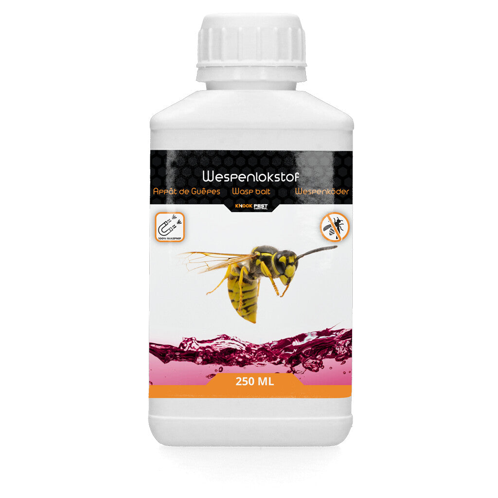 Knock Pest Wasp Bait