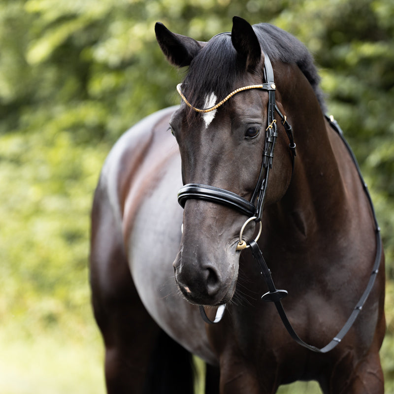 Kavalkade hoofdstel Clinchesse met afneembare sperriem