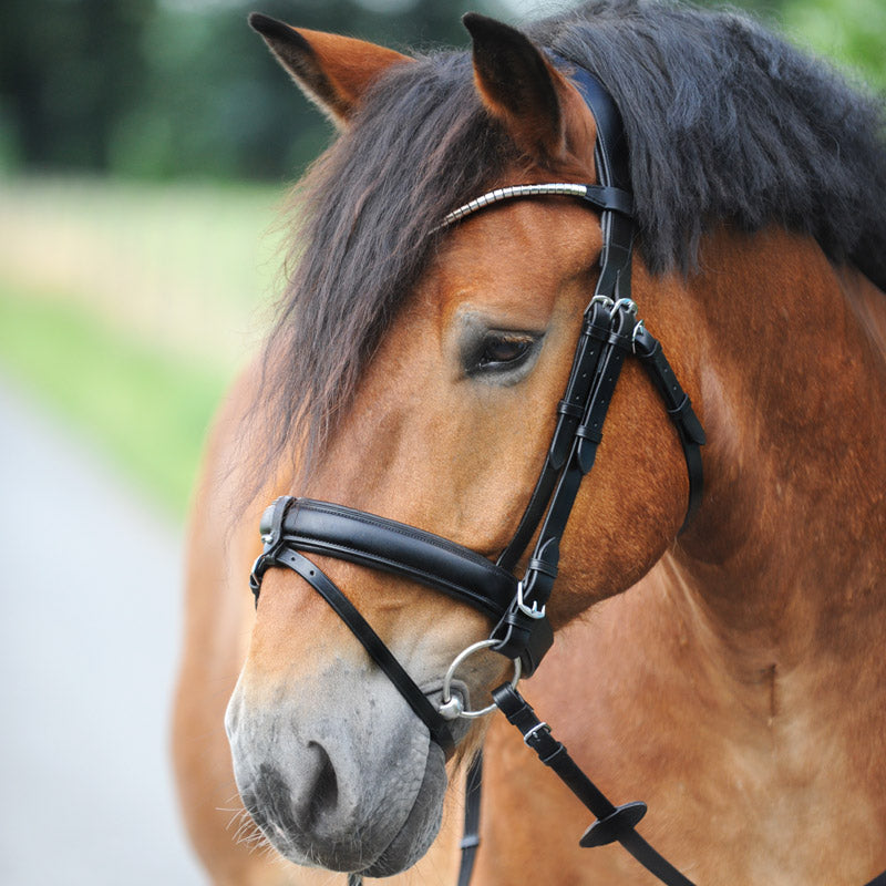 Kavalkade hoofdstel Clinchesse met afneembare sperriem