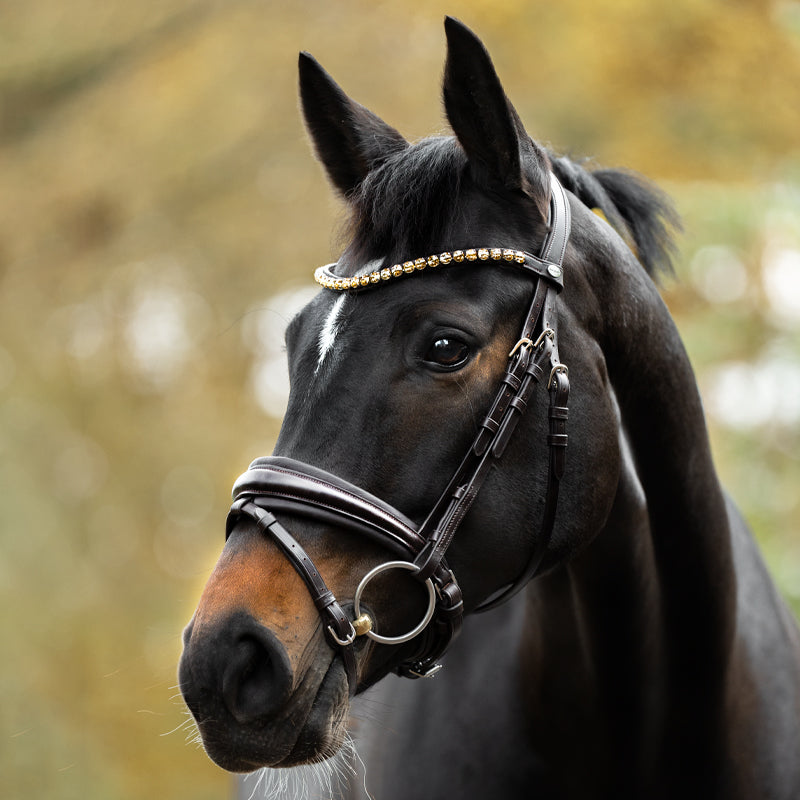 Kavalkade Zora Bridle