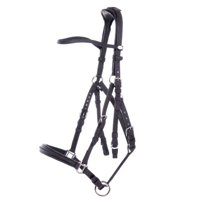 Kavalkade 2in1 Halster-Hoofdstel Artemis