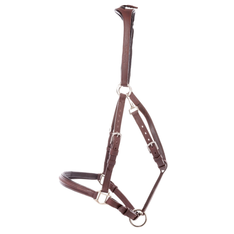 Kavalkade 2in1 Halster-Hoofdstel Artemis