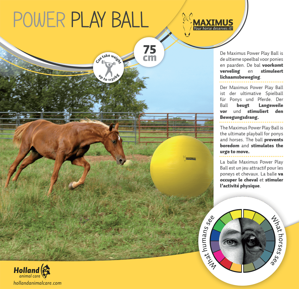 Maximus play ball, voetbal, 100 cm