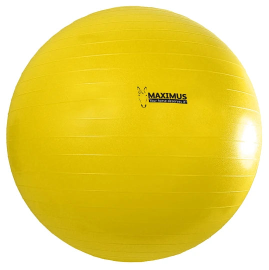 Maximus play ball, voetbal, 100 cm