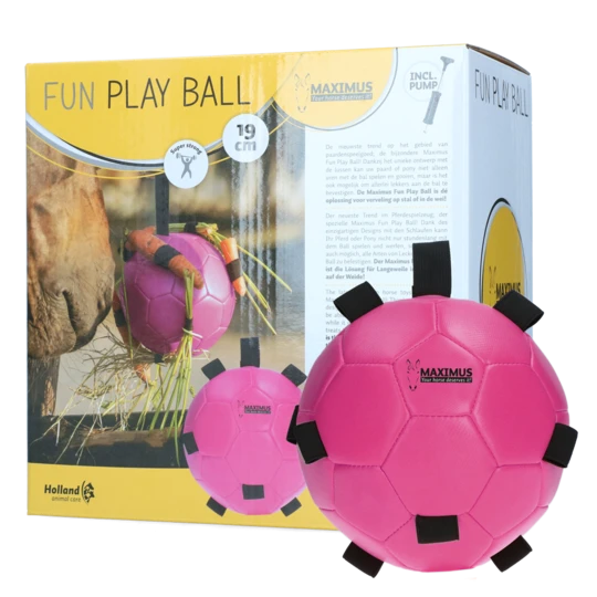 Maximus fun play ball