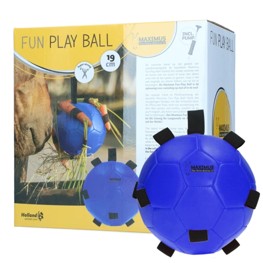 Maximus fun play ball
