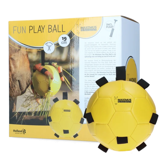 Maximus fun play ball