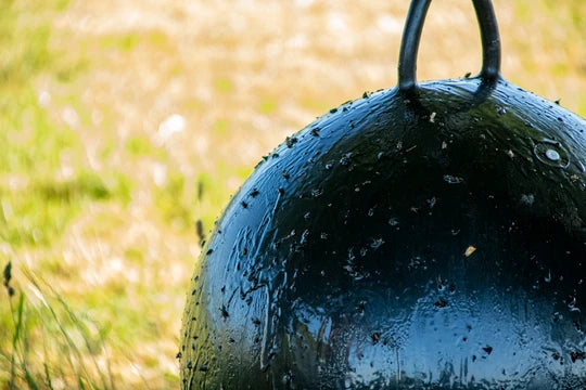 Sticky Trap vliegenbal