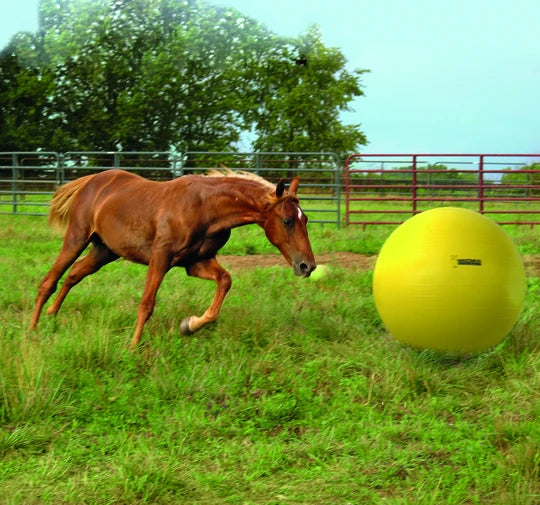 Maximus play ball, voetbal, 100 cm