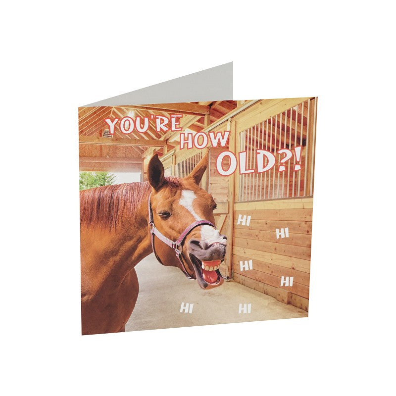 Wenskaart paarden