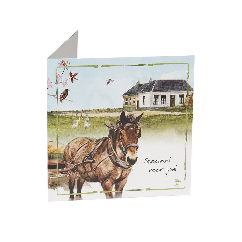 Wenskaart paarden